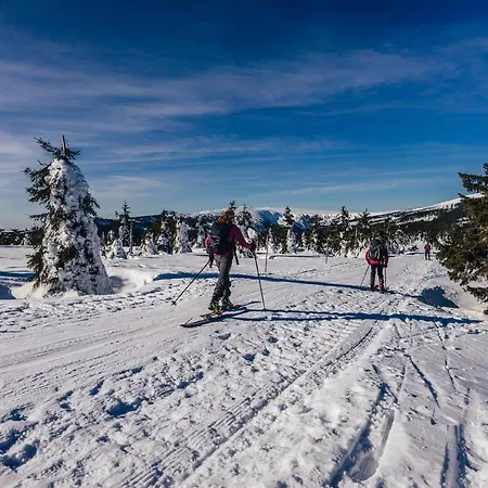 Fit Fun 3* Harrachov