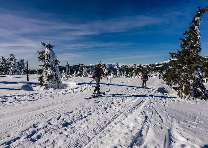 Fit Fun 3* Harrachov